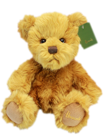 Teddy Bear n Doll - Harrods Classic Brown Bear - L153981 Photo